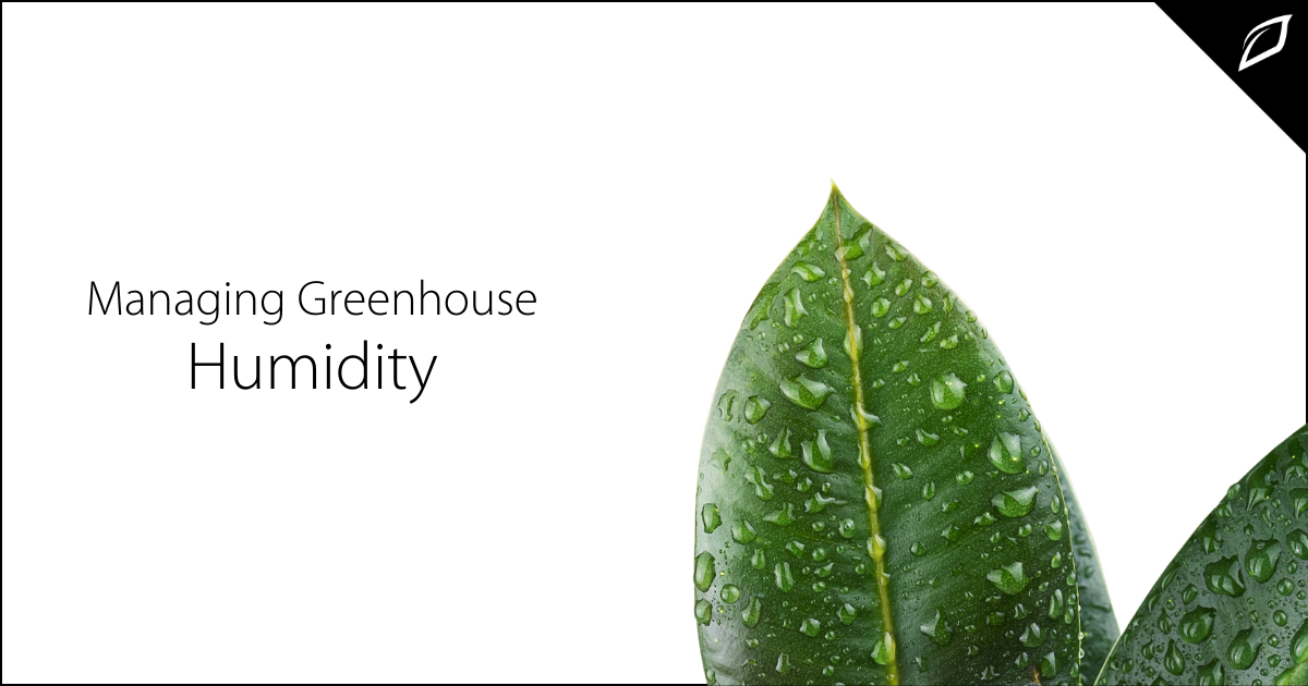 Managing Greenhouse Humidity